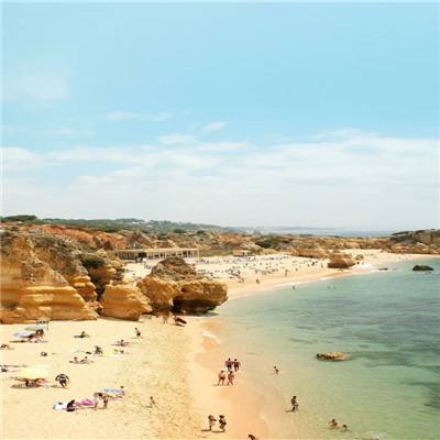 米乐app下载官网