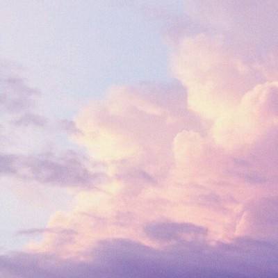 澳门天天免费资料大全下载下载手机版